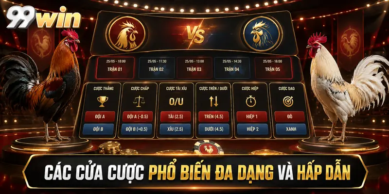 Các cửa cược phổ biến đa dạng và hấp dẫn